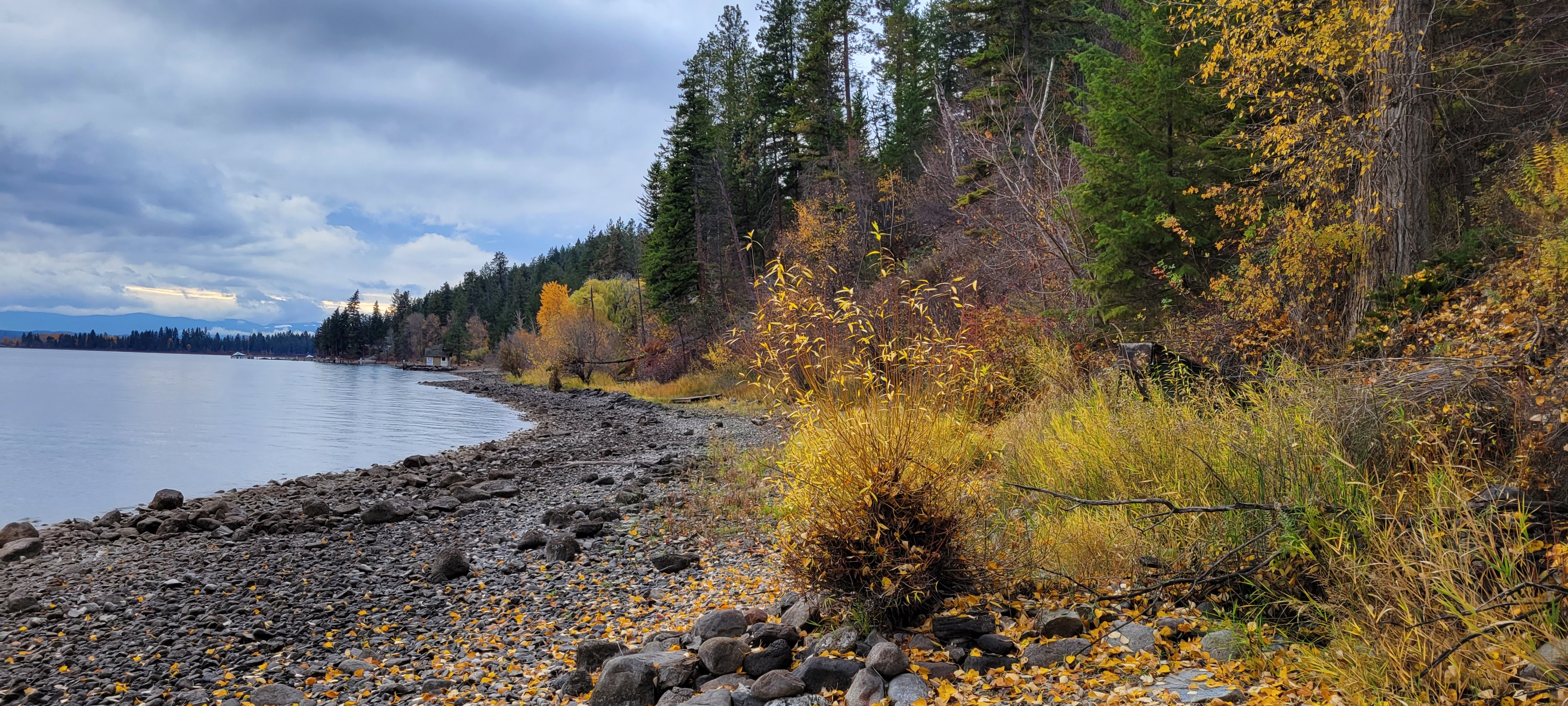 Riparian Habitat of Okanagan Lake