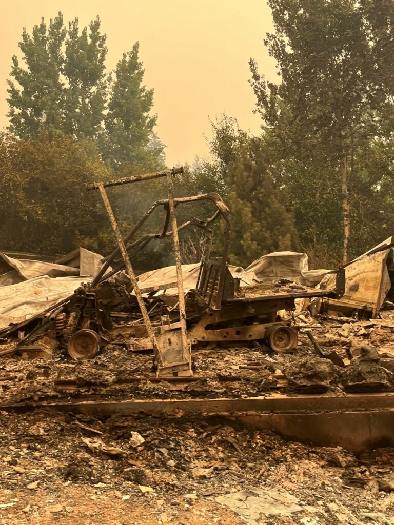 Remains of a golf cart post fire